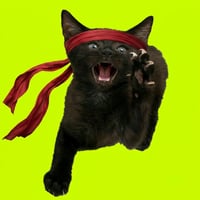 Roaring Kitty