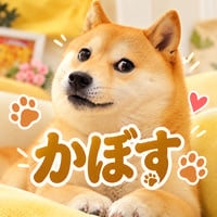 かぼす logo