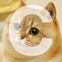 Tsutsuji the Cate logo