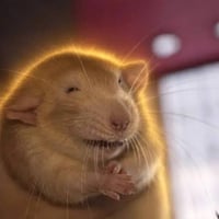 Logo de Happy Merchant Mouse