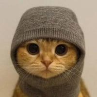 Sock and pussy 500