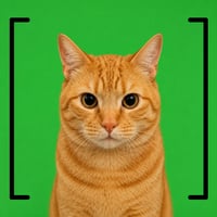 [cat]