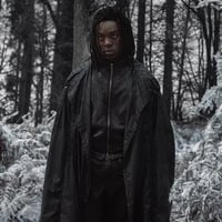 Professor Niggerus Snape