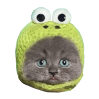 CATFROGHOOD