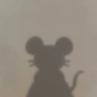 Anonymouse