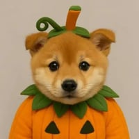 pumpkinu logo