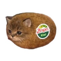 Cat Kiwi