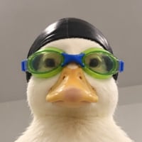 Nasduck
