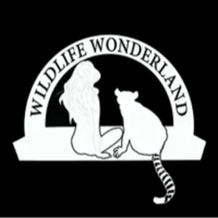 Wildlife Wonderland