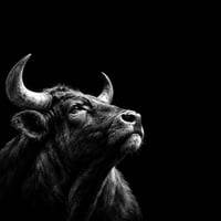 Logo de The Bull