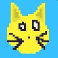 Solana Cat