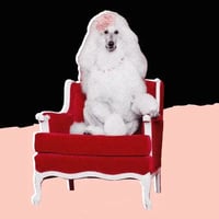 POODLE logo