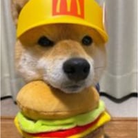 MCDOGE
