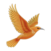 DULUS