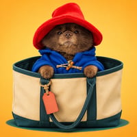 BERT IN THE BAG