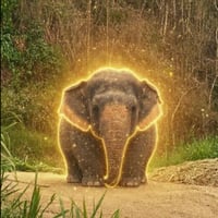 The Chubby Elephant logo