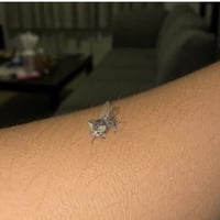 mosquito cat