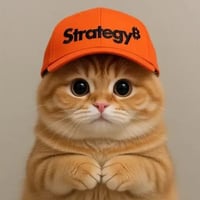 CATSTRATEGY