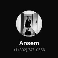 Ansem's Phone Number logo