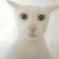 老吴