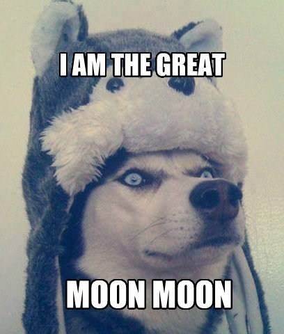 MOON MOON token icon
