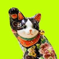 Robinhood Office Cat