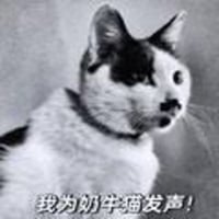 我为奶牛猫发声
