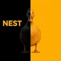 Nest Exchange Limited