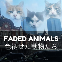 FadedAnimals