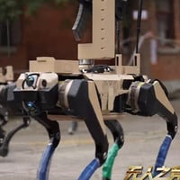 Robot Wolves