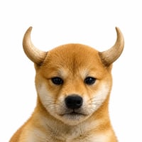 bull dog