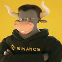 The Binance Bull