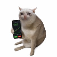 STOCKCAT logo