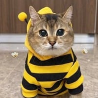 meimei