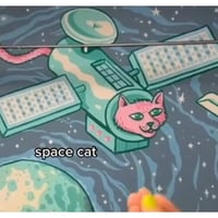 SPACECAT