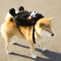 Marutaro