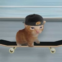 catonboard