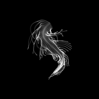 jelly logo