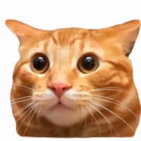 Irlcat logo