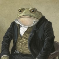 TOAD logo