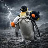 キングペンギン