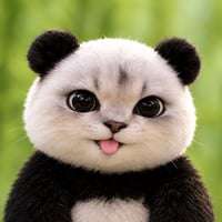 PANDACAT logo