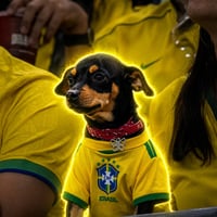 Brazil Viral Dog