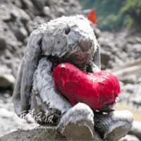 The Lone Rabbit