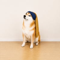 dogwifbandana