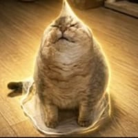 Wrapped Cat logo