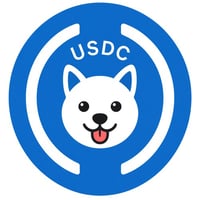 USDC logo