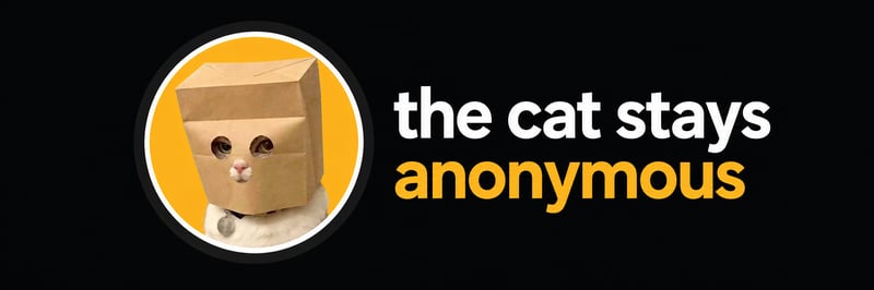 Anonymous Cat — paper bag mask