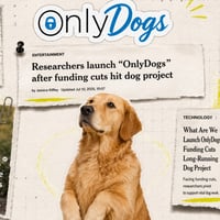 OnlyDogs