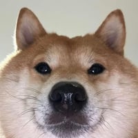 NEAR INU